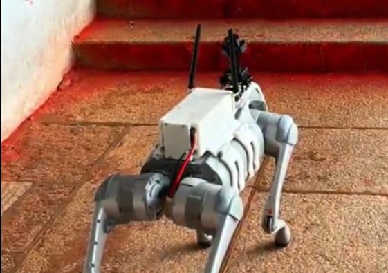 TTD to deploy robotic dog for wildlife monitoring in woods around Tirupati temple