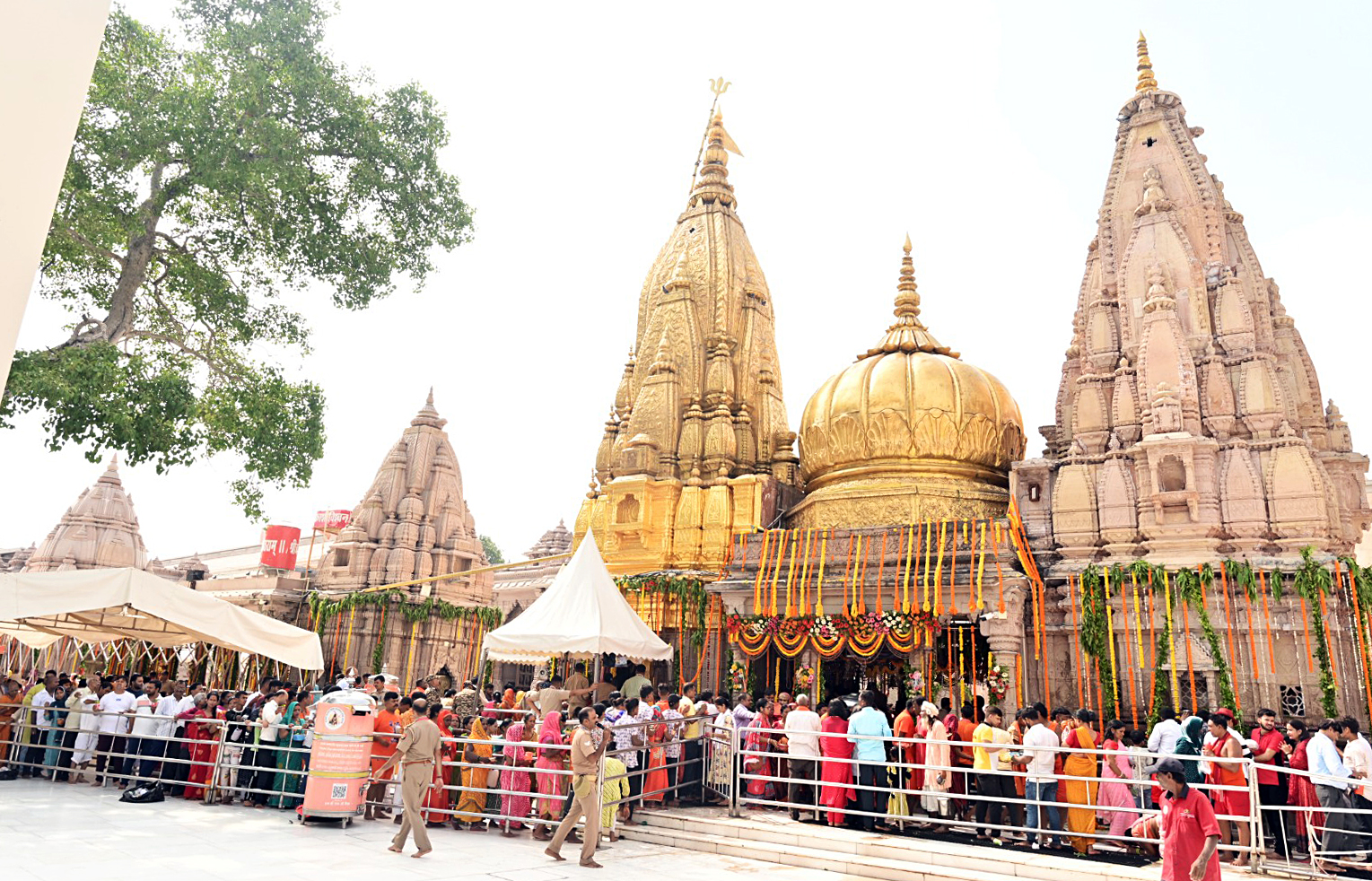 Kashi Vishwanath Dham decked up with flowers and lights for Nag Panchami
