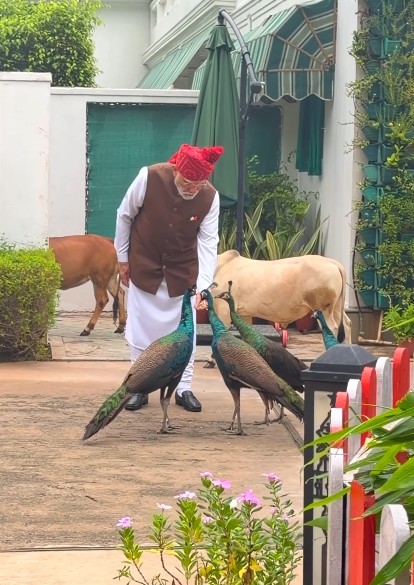 Special, as always: PM Modi shares heartwarming daily routine with ‘friends’