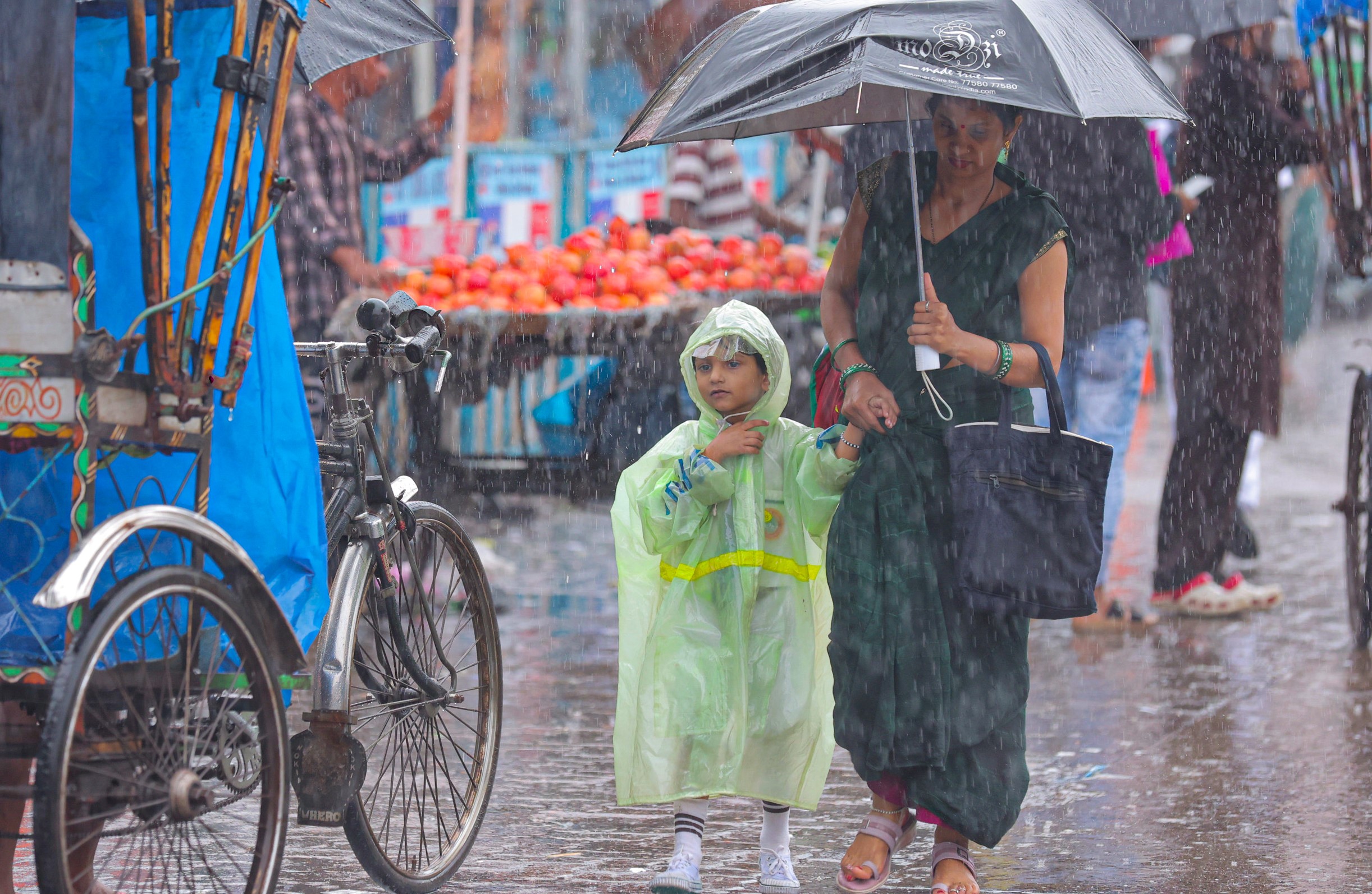 Heavy rain forecast in 3 Tamil Nadu districts; interior areas likely to see temperature rise