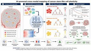 AI framework identifies hidden cancer stem cells, offers new path to precision medicine