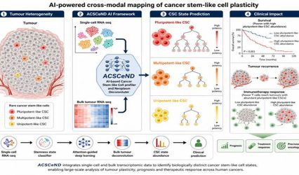 AI framework identifies hidden cancer stem cells, offers new path to precision medicine