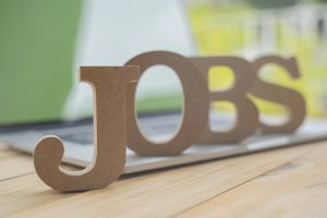 NCS portal records 17.68 lakh active vacancies, 2.89 crore active jobseekers