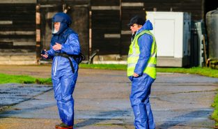 Australia confirms first mass mortality event from H5 bird flu in native seabirds