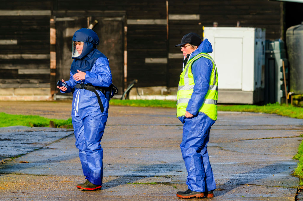 Australia confirms first mass mortality event from H5 bird flu in native seabirds