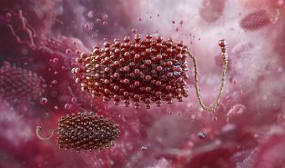 Chandipura virus outbreak: Centre steps up probe with multi-agency team in Gujarat, Rajasthan