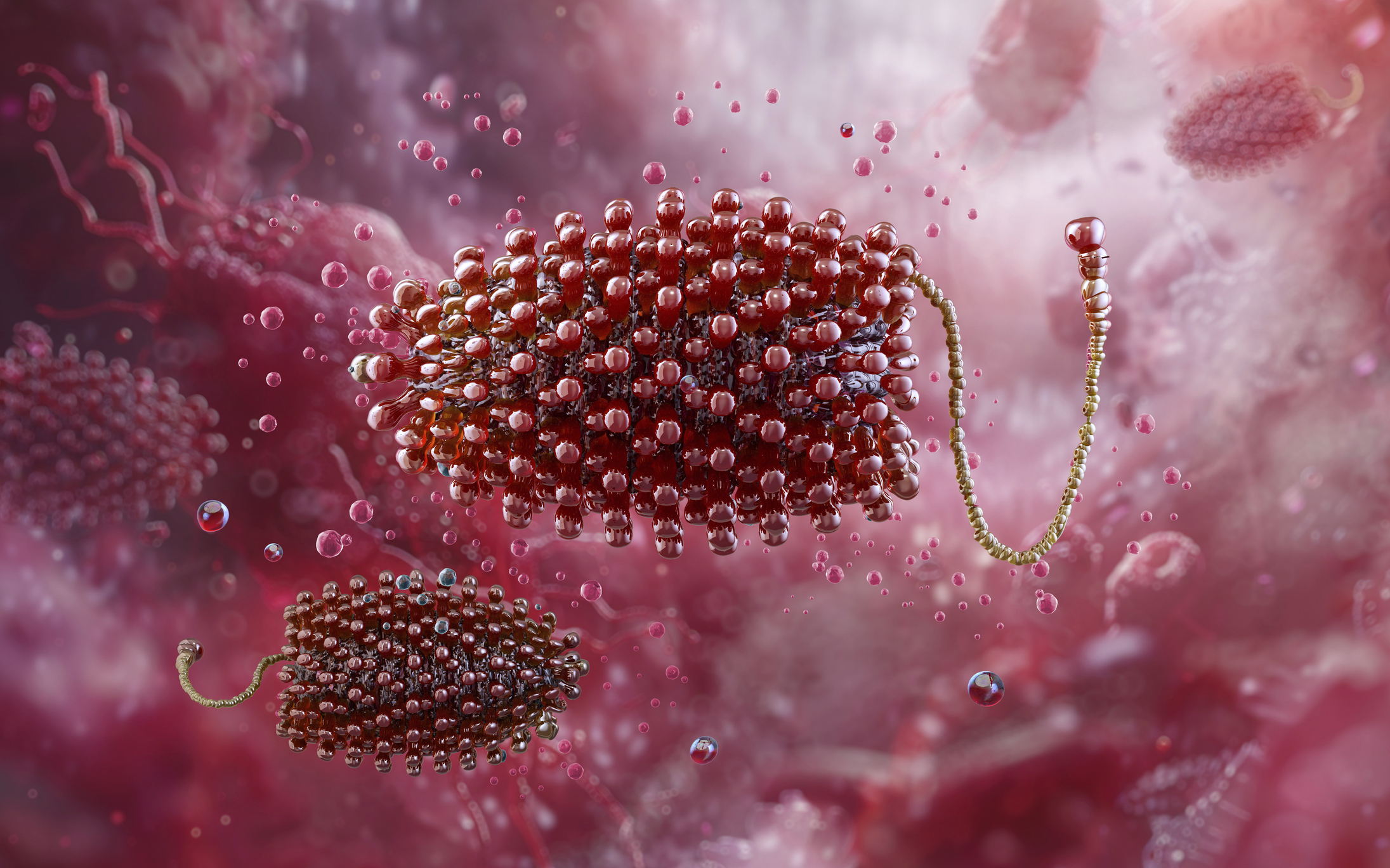 Chandipura virus outbreak: Centre steps up probe with multi-agency team in Gujarat, Rajasthan