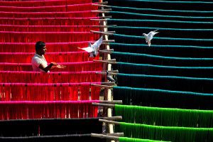‘India’s Handloom Tradition Is a Living Legacy’: VP Radhakrishnan salutes weavers on National Handloom Day