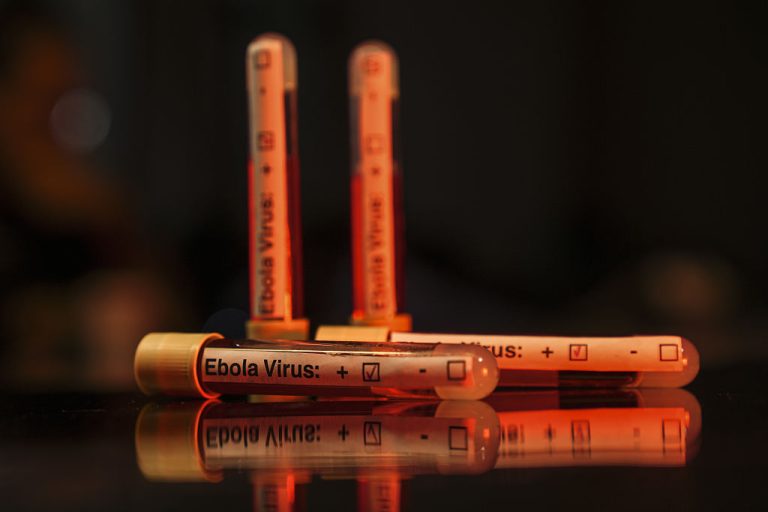 Treatment trials for Ebola strain behind Congo outbreak show promise ...