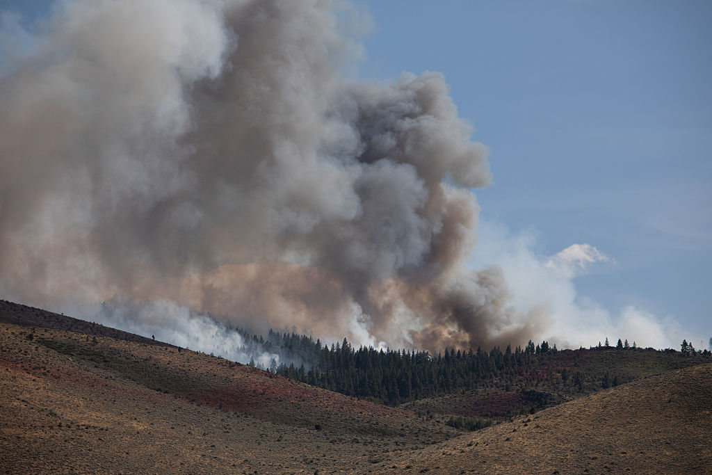 Wildfire in western US’ Nevada destroys dozens of homes, injures seven