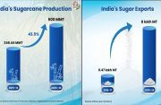 India’s sugar sector strengthens as production, ethanol diversification and farmer payments gain momentum