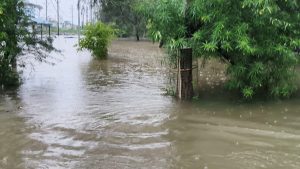 Heavy rain disrupts life in MP; schools shut in Bhopal