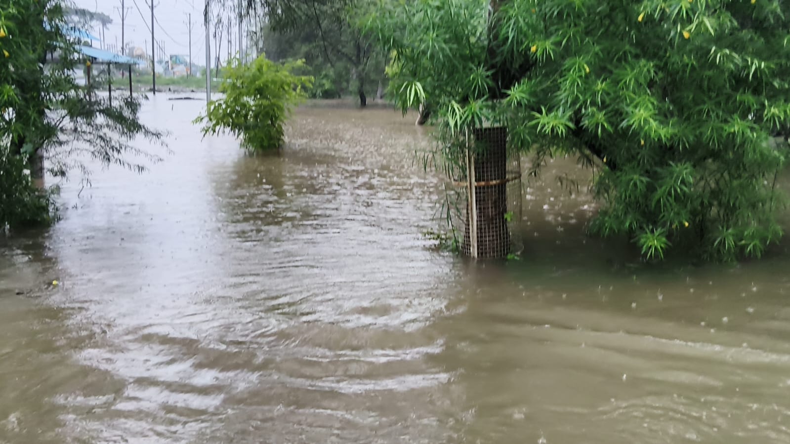 Heavy rain disrupts life in MP; schools shut in Bhopal