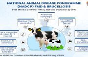 NADCP strengthens India’s fight against livestock diseases, delivers sharp decline in FMD and Brucellosis outbreaks