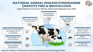 NADCP strengthens India’s fight against livestock diseases, delivers sharp decline in FMD and Brucellosis outbreaks