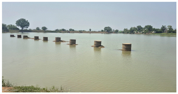 Odisha Catch the Rain 5