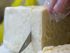 Gujarat govt imposes blanket ban on unauthorised analogue dairy products