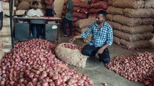 Centre begins targeted release of onion buffer stocks to check seasonal price rise