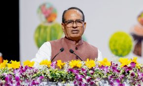 Centre sanctions 3 lakh houses for Andhra Pradesh, first 3D concrete-printed housing project launched
