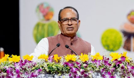 Centre sanctions 3 lakh houses for Andhra Pradesh, first 3D concrete-printed housing project launched