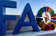 Mizoram woman farmer to receive FAO award