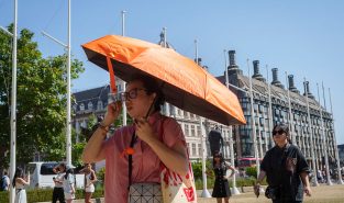 August was world's joint-hottest month on record, scientists say
