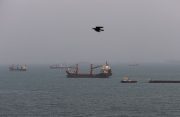 Hormuz traffic slows after Iran threatens retaliation for US attacks