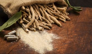Standardised Ashwagandha well tolerated in 1,200-adult clinical trial, study finds
