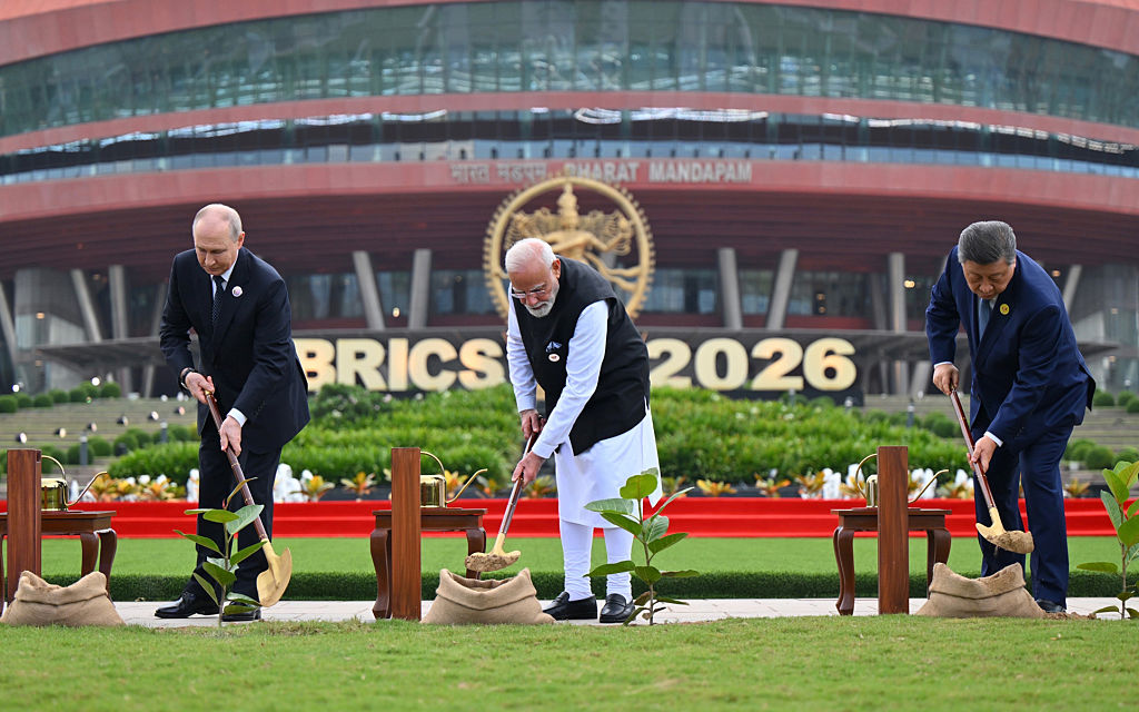 BRICS backs Expert Working Group on traditional medicine in New Delhi Declaration