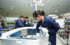 India to debut in 11 new skills at WorldSkills Shanghai 2026