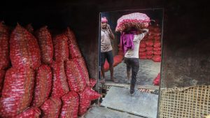 Government expands onion buffer stock release through Kanda Express, road transport to check seasonal price rise