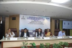 Credit ratings key to benchmarking CPSE creditworthiness, securing competitive funding: DPE