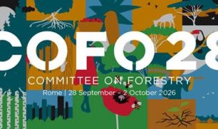 India highlights progress in forest cover, restoration and climate action at COFO 28