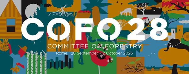 India highlights progress in forest cover, restoration and climate action at COFO 28