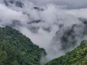 Uttarakhand: IMD issues orange alert for heavy to very heavy rain in 3 districts