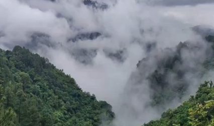 Uttarakhand: IMD issues orange alert for heavy to very heavy rain in 3 districts