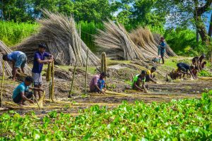 PM Dhan-Dhaanya Krishi Yojana completes one year, focuses on agricltural growth in 100 districts