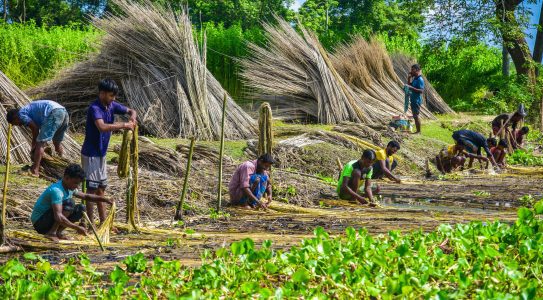 PM Dhan-Dhaanya Krishi Yojana completes one year, focuses on agricltural growth in 100 districts