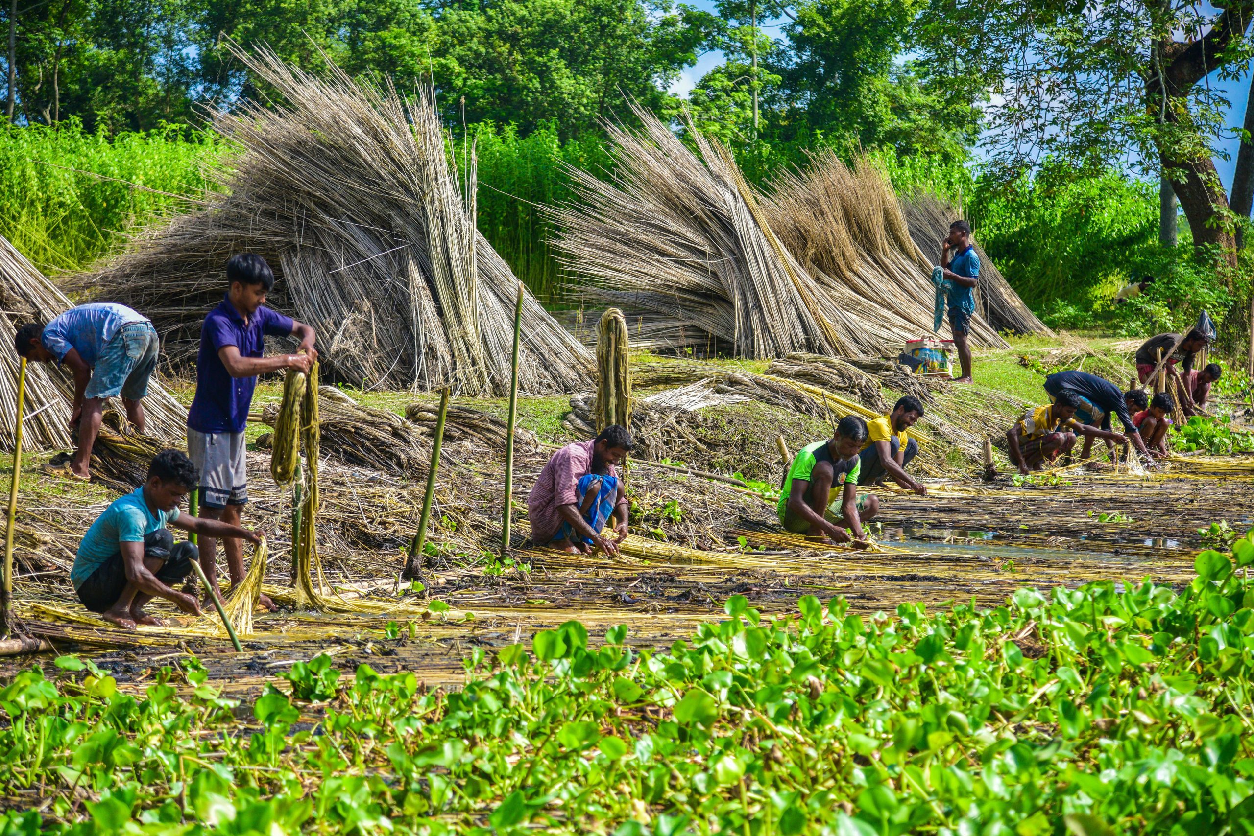 PM Dhan-Dhaanya Krishi Yojana completes one year, focuses on agricltural growth in 100 districts