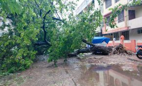 Andhra CM briefs Home Minister Amit Shah on ‘extensive damage’ caused by cyclone