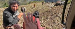 More than 100 foreign trekkers stranded in flood-hit region of Nepal, official says