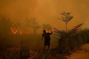 Indonesia Wildfires Destroy 300 Houses