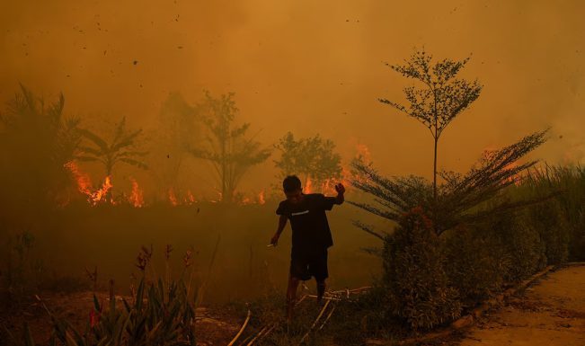 Indonesia Wildfires Destroy 300 Houses