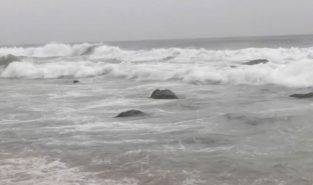 Odisha "Fully Prepared" for Cyclone Arnab; 60 ODRAF Teams to Be Deployed in Three Phases