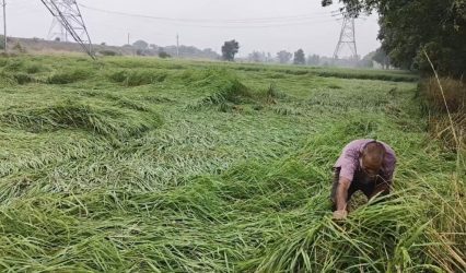 Heavy rain, thunderstorms to lash Bihar; red alert for Sitamarhi, Madhubani