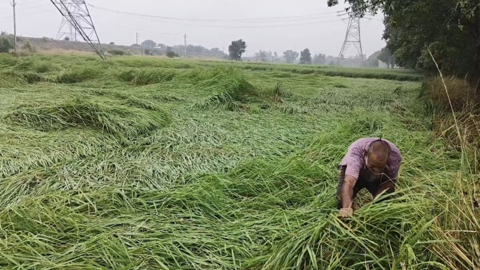Heavy rain, thunderstorms to lash Bihar; red alert for Sitamarhi, Madhubani
