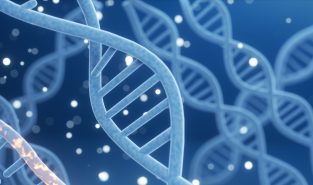 Most people globally face ‘high genetic risk’ for three common diseases: Study