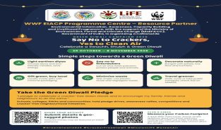 WWF-India launches Green Diwali campaign, urges citizens to avoid firecrackers