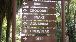 Dehradun Zoo changes diets of animals, birds to protect them from winter chill
